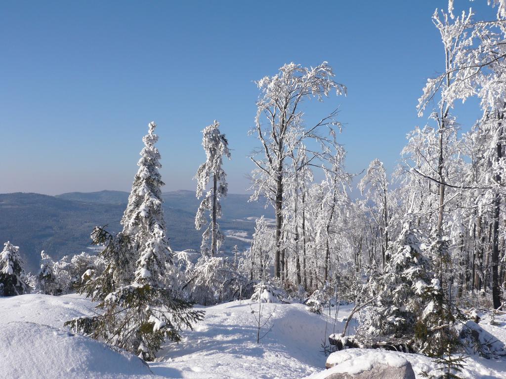 Ferienwohnungen Koenig Bischofsmais Quarto foto